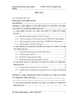 Hoàn thiện kế toán nguyên vật liệu tại công ty TNHH MTV Hồng Quảng