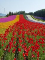 bai 19. cac chat duoc cau tao ntn?