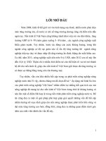 Áp dụng mô hình So- low vào phát triên nông nghiệp Việt Nam