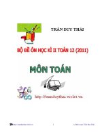Bộ Đề Ôn Thi HKII Toán 12 (2011)