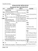 kế hoạch cd thế giới động vật