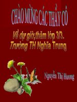 Côn trùng tuần 26(hay...)