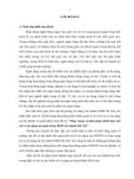 Thực trạng và biện pháp nhằm hạn chế rủi ro tín dụng tại ngân hàng HDB chi nhánh Hà Nội