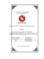 QUY LUẬT QUAN HỆ SẢN XUẤT PHÙ HỢP VỚI TRÌNH ĐỘ PHÁT TRIỂN CỦA LỰC LƯỢNG SẢN XUẤT VÀ VẬN DỤNG VÀO SỰ NGHIỆP ĐỔI MỚI Ở NƯỚC TA HIỆN NAY