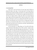 Vấn đề xã hội hóa sản xuất các chương trình truyền hình của đài phát thanh và truyền hình hà nội