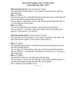 Đề thi THÍ NGHIỆM THỰC HÀNH LỚP 8 (2010 - 2011)