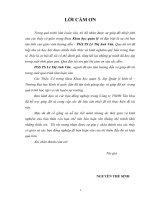 Phân tích các nhân tố chiến lược kinh doanh của công ty TNHH tân hoa