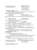 Đề kiểm tra Ngư văn lớp 9