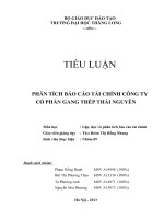 Tiểu luận Phân tích báo cáo tài chính: Phân tích tình hình hoạt động sản xuất kinh doanh Công ty cổ phần gang thép Thái Nguyên