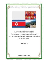 SKKN ĐỊA LÝ 8_ỨNG DỤNG CNTT VÀO GIẢNG DẠY MÔN ĐỊA LÍ 8