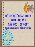 ÔN TẬP KIỂM TRA GIỮA HKII - LỚP 3