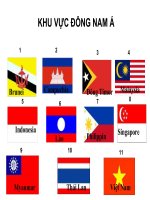 Bài 11. Tự nhiên - dân cư xã hội Đông Nam á