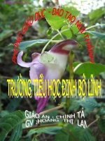 CHÍNH TẢ BÀI HỘI ĐUA VOI Ở TÂY NGUYÊN