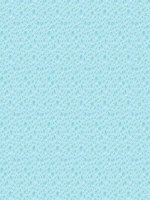 dia li lop 5 - chau my