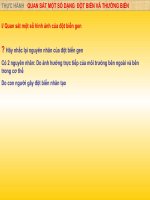 thực hành quan sát đột biến