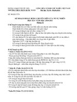 KẾ HOACH HĐ THÁNG CỦA TỔ TN