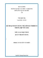 Lập kế hoạch bán hàng cho sản phẩm Trà bí đao của Tribeco trong dịp Tết 2014
