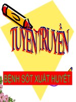 TUYEN TRUYEN BENH SOT XUAT HUYET