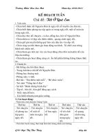 GIAO AN CHU DE MUA XUAN