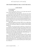 SKKN văn ban nhât dung