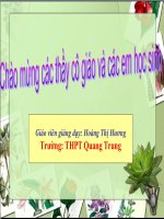 bai 41 sinh san vo tinh o thuc vat