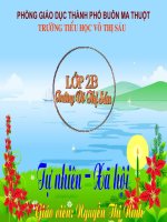 TN_XH một số loài cây sống trên cạn