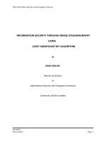 INFORMATION SECURITY THROUGH IMAGE STEGANOGRAPHY USING LEAST SIGNIFICANT BIT ALGORITHM By NANI KODURI