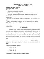 De kiem tra giua ki 2 - Lop2 - nam hoc 2010-2011