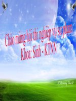 Bài 24. Ứng động