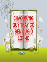 ĐỘNG VẬT CẦN GÌ ĐỂ SỐNG