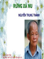 Rừng xà nu - Nguyễn Trung Thành