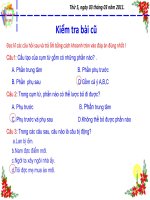 Tiết 102 Dùng cụm C-V để đặt câu