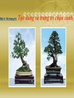 Bài 4-VTT: Tạo dáng và trang trí Chậu cảnh ( ST)