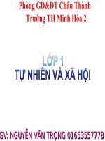 GADT VÒNG TỈNH BÀI CÂY HOA