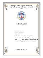 Nguyên lý Ngôn ngữ lập trình