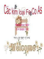 Bài thuyết trình các kim loại fe co as