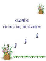 Hình học 7-T.45: Ôn tập Chương II