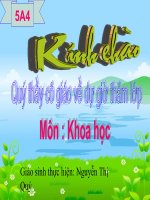 sự sinh sản của thú