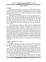 SKKN Kinh nghiệm dạy học bài tập áp dụng phương pháp Dạy theo hợp đồng vào bài ôn tập chương vi - đại số 10