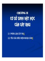 tìm hiểu về các loại cây rau học viện nông nghiệp (1)