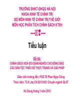 Báo cáo Tiểu luận Phân tích chính sách kinh tế xã hội Chính sách xoá đói giảm nghèo cho đồng bào các dân tộc thiểu số, thực trạng và giải pháp