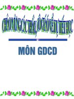 Tiet 13- Lí tưởng sống của thanh niên