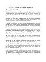 CÁC PHƯƠNG PHÁP LAI cây HOA HỒNG