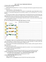 tài liệu ôn tập THPT môn sinh bài 1 và 2