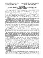 Báo cáo chử thập đỏ nhiệm kỳ 2010-2016