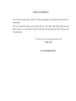 Ảnh hưởng của nguyên liệu, các yếu tố công nghệ và điều kiện bảo quản đến chất lượng salad cà chua