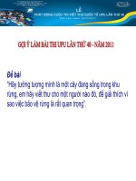 hướng dẫn viết bài upu lần thứ 40 năm 2010- 2011