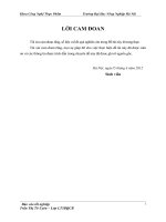 luận văn  công nghệ thực phẩm  Tìm hiểu ảnh hưởng của chế phẩm cắm hoa đến đến chất lượng và tuổi thọ cắm lọ của hoa hồng đỏ