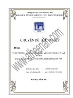 luận văn thạc sĩ Thực trạng và giải pháp chủ yếu đẩy mạnh phát triển sản xuất rau an toàn ở ngoại thành Hà Nội