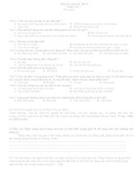 kiểm tra TV 7 1 tiết kì 2